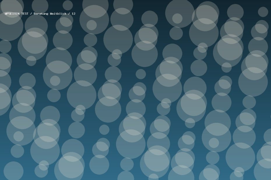 Synthetisches Testmotiv 12